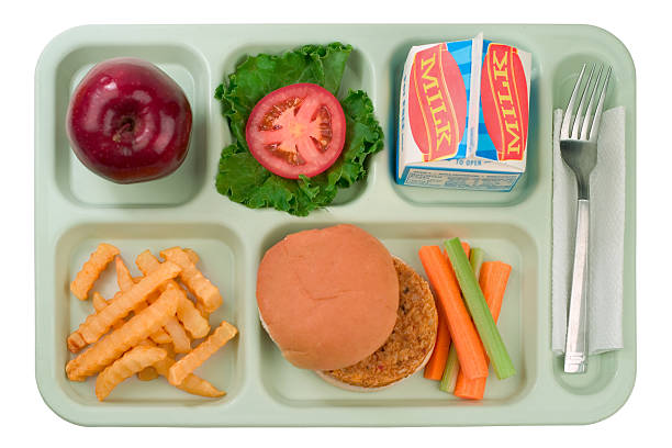 A straight shot of a tray of a typical school lunch tray consisting of a vegetarian burger, fries,  carrot and celery sticks, an apple, lettuce and tomato with cold milk.This image has been isolated.shallow dofGot a hankering for some more of these kinds of eats  Then check out the series, with even more to follow: