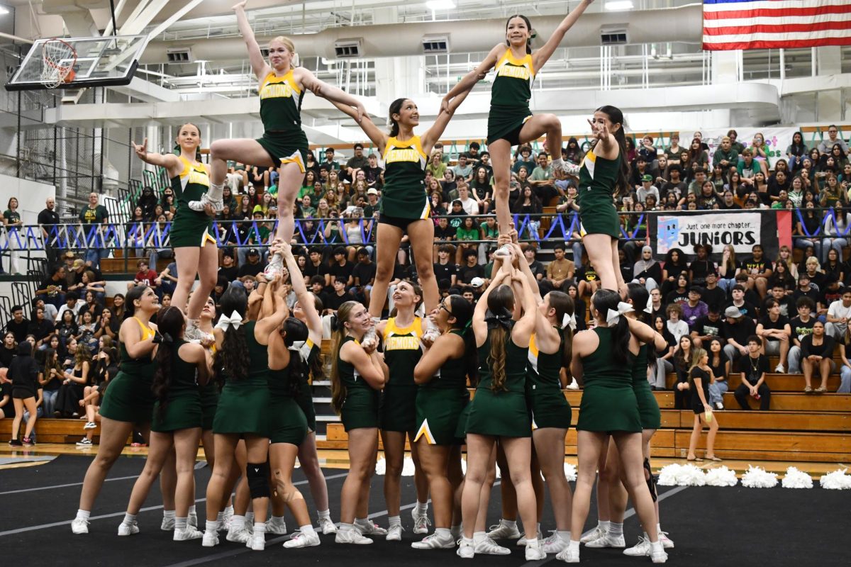 Spirit Line is Right on Time